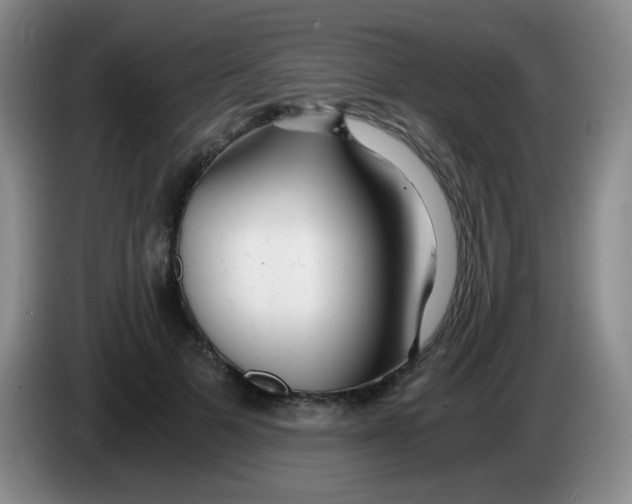 X0000083980697200703091824