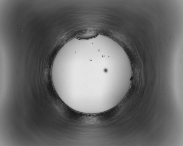 X0000083980698200703091824