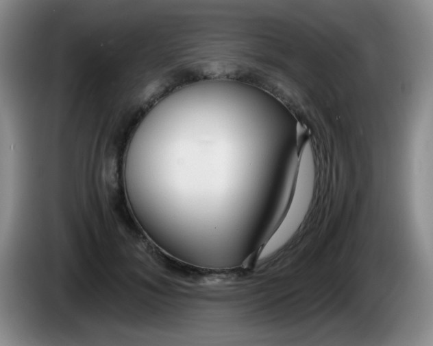 X0000083980700200703091824