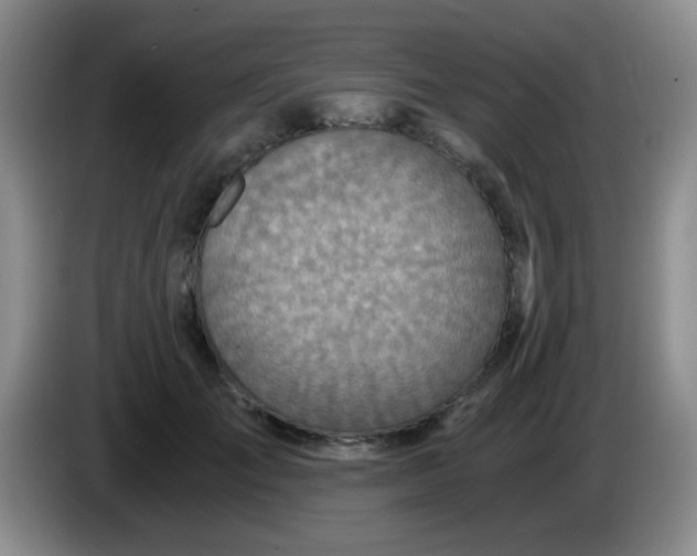 X0000083980701200703091824