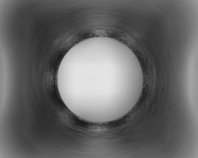 X0000083980702200703091824