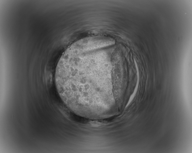 X0000083980703200703091824