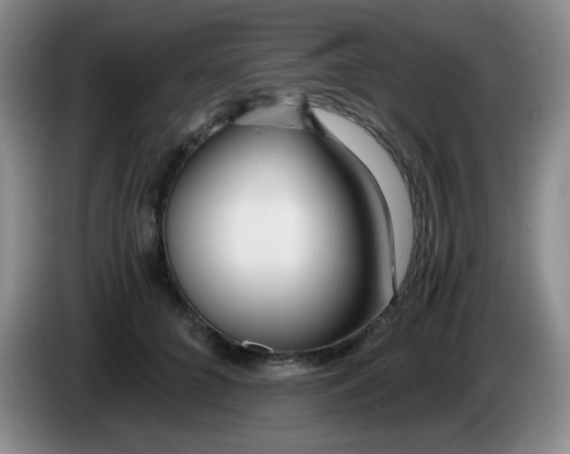 X0000083980704200703091824