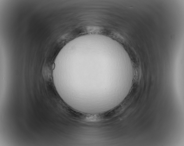 X0000083980705200703091824