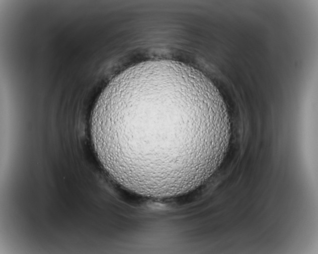 X0000083980706200703091824