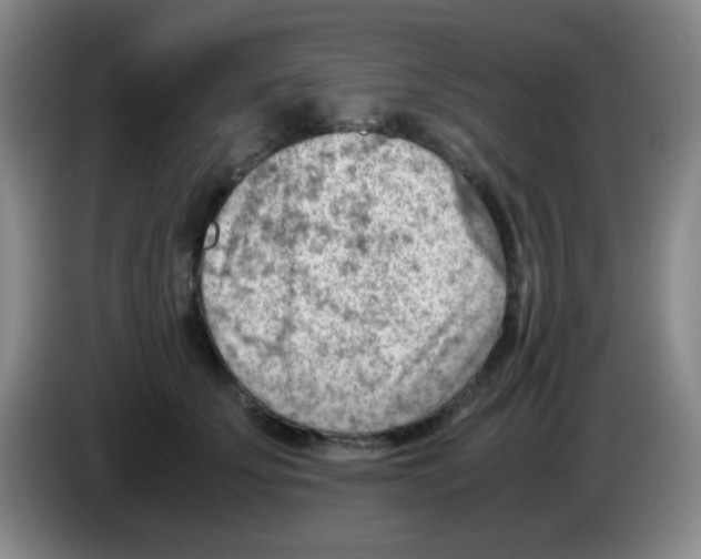 X0000083980707200703091824