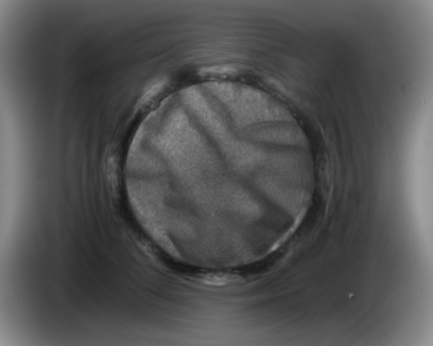 X0000083980708200703091824