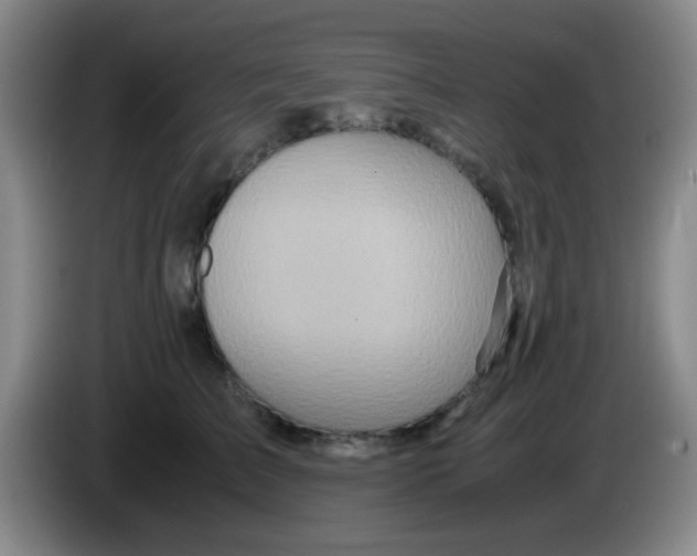 X0000083980709200703091824