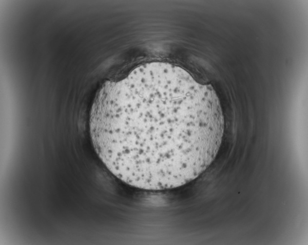 X0000083980710200703091824