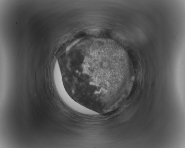 X0000083980711200703091824