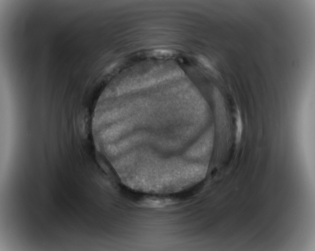 X0000083980712200703091824