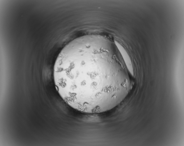 X0000083980715200703091824