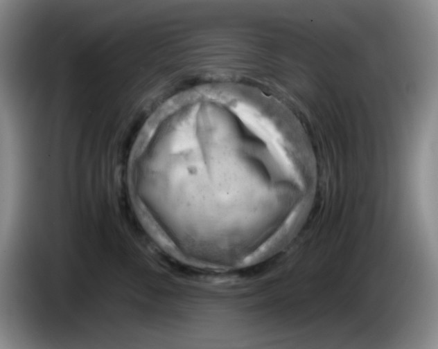 X0000083980716200703091824