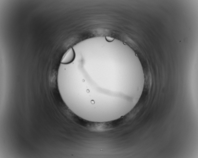 X0000083980717200703091824