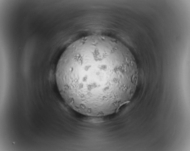 X0000083980719200703091824