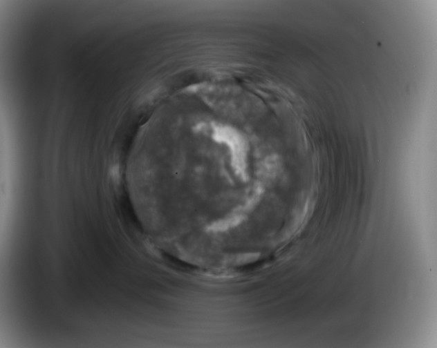 X0000083980720200703091824