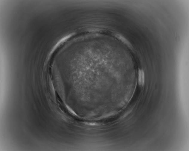 X0000083980723200703091823