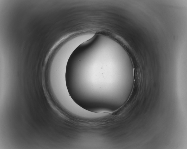 X0000083980726200703091823