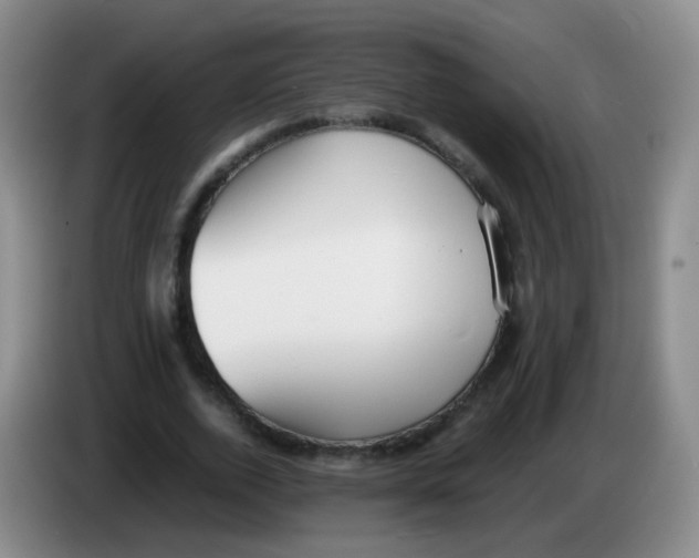 X0000083980728200703091823