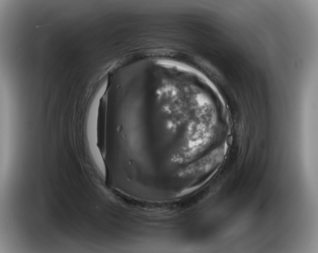 X0000083980729200703091823