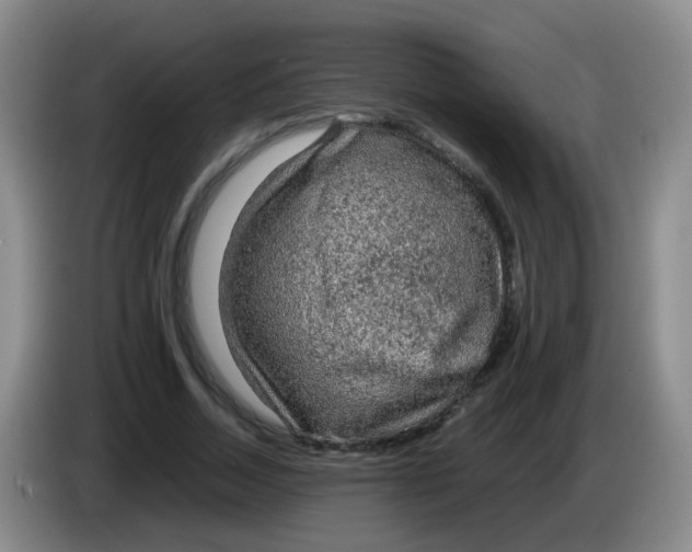 X0000083980730200703091823