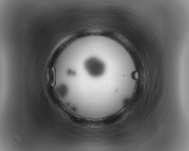 X0000083980731200703091823