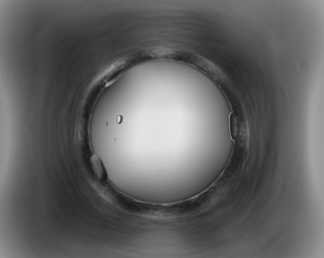 X0000083980732200703091823