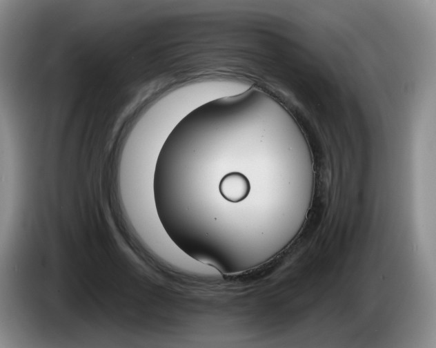 X0000083980734200703091823