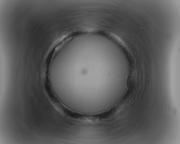 X0000083980736200703091823