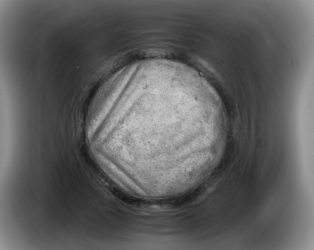 X0000083980737200703091823