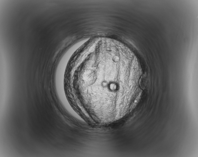 X0000083980738200703091823