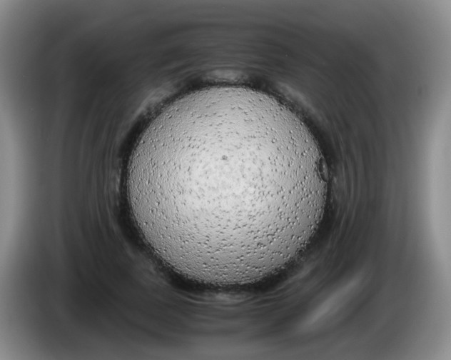 X0000083980739200703091823