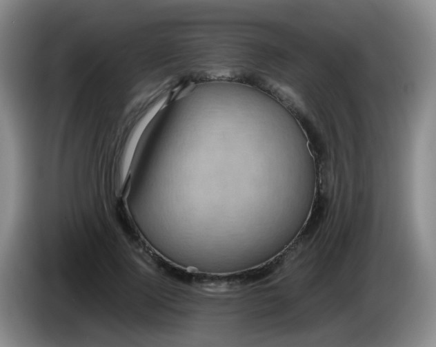 X0000083980740200703091823