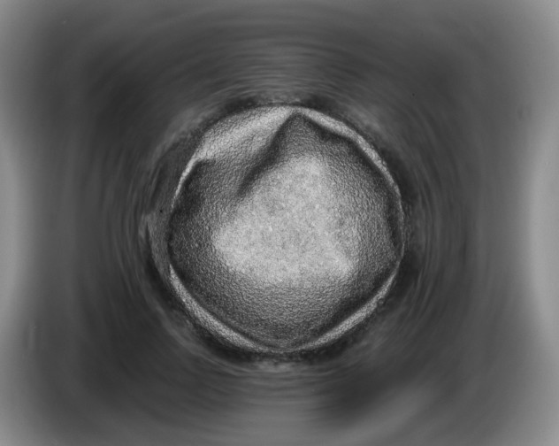 X0000083980742200703091824