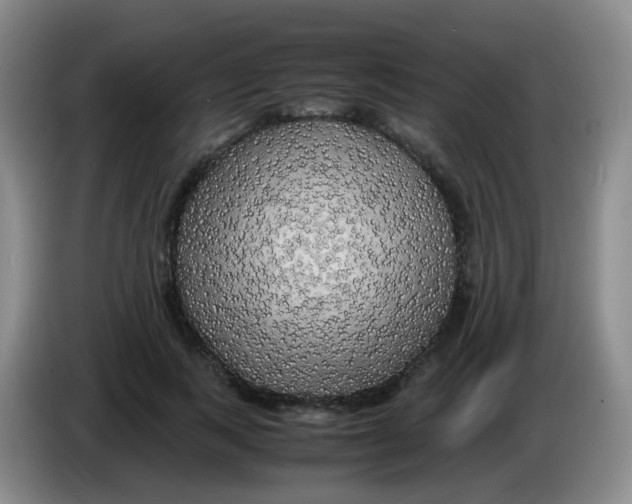 X0000083980743200703091824