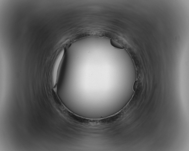 X0000083980744200703091824