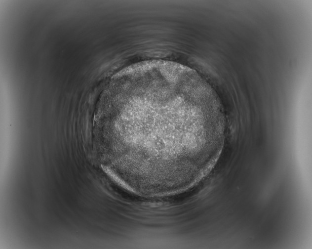 X0000083980745200703091824