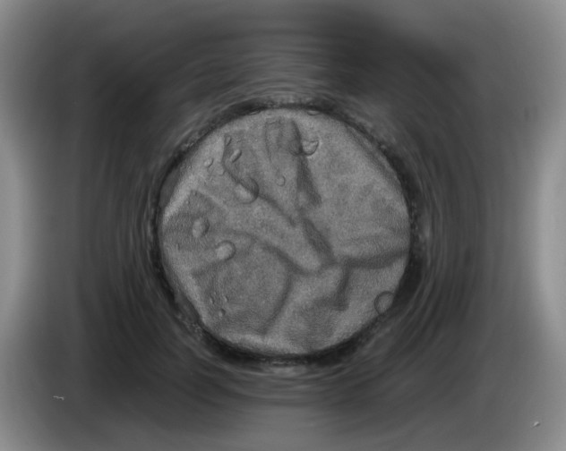 X0000083980746200703091824