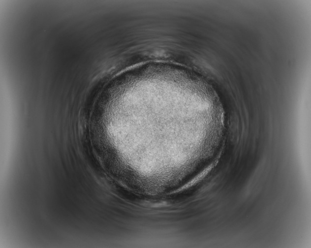 X0000083980747200703091824