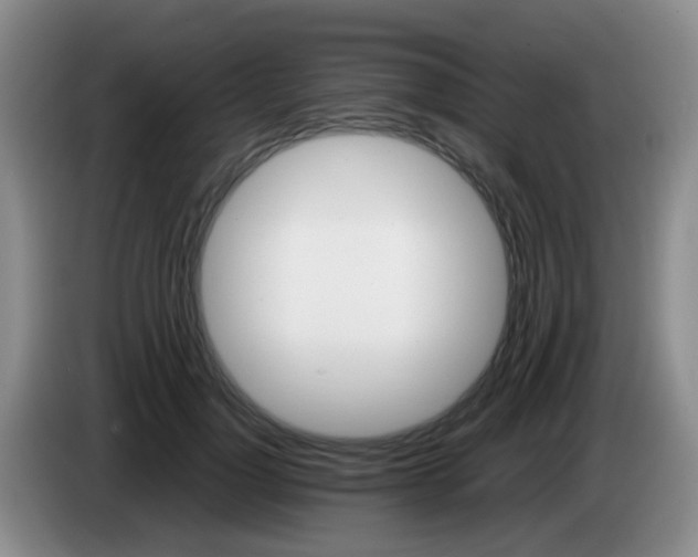 X0000083980748200703091824