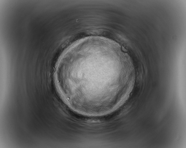 X0000083980749200703091824