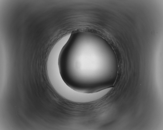 X0000083980750200703091824