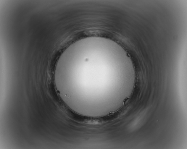 X0000083980751200703091824