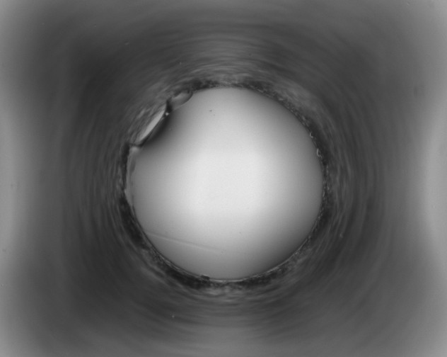 X0000083980752200703091824