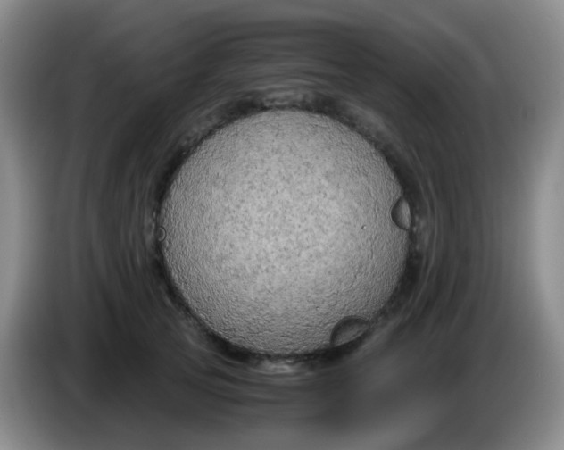 X0000083980753200703091824