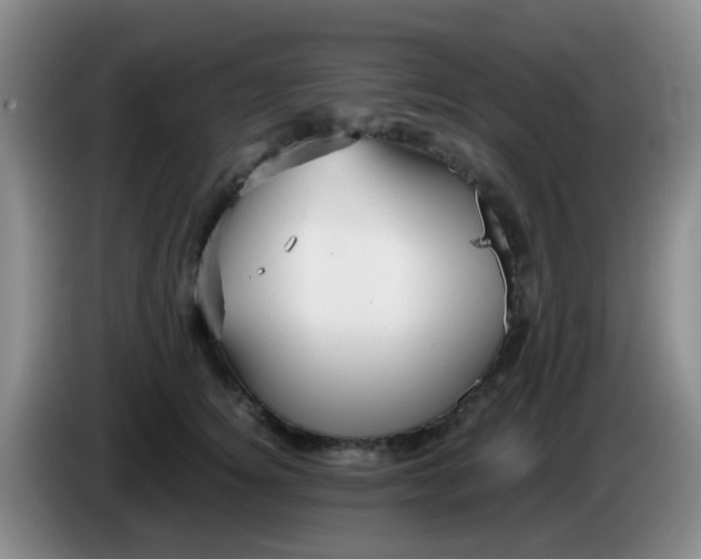 X0000083980756200703091824