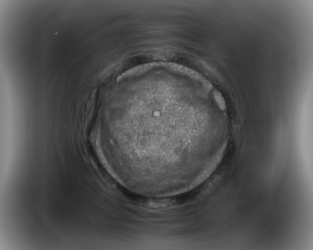 X0000083980757200703091824