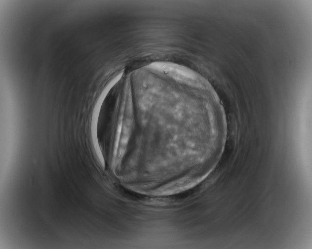 X0000083980758200703091824