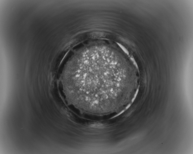 X0000083980759200703091824