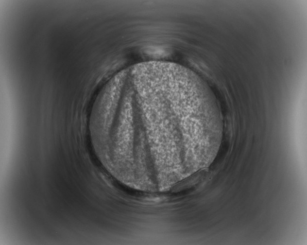 X0000083980760200703091824